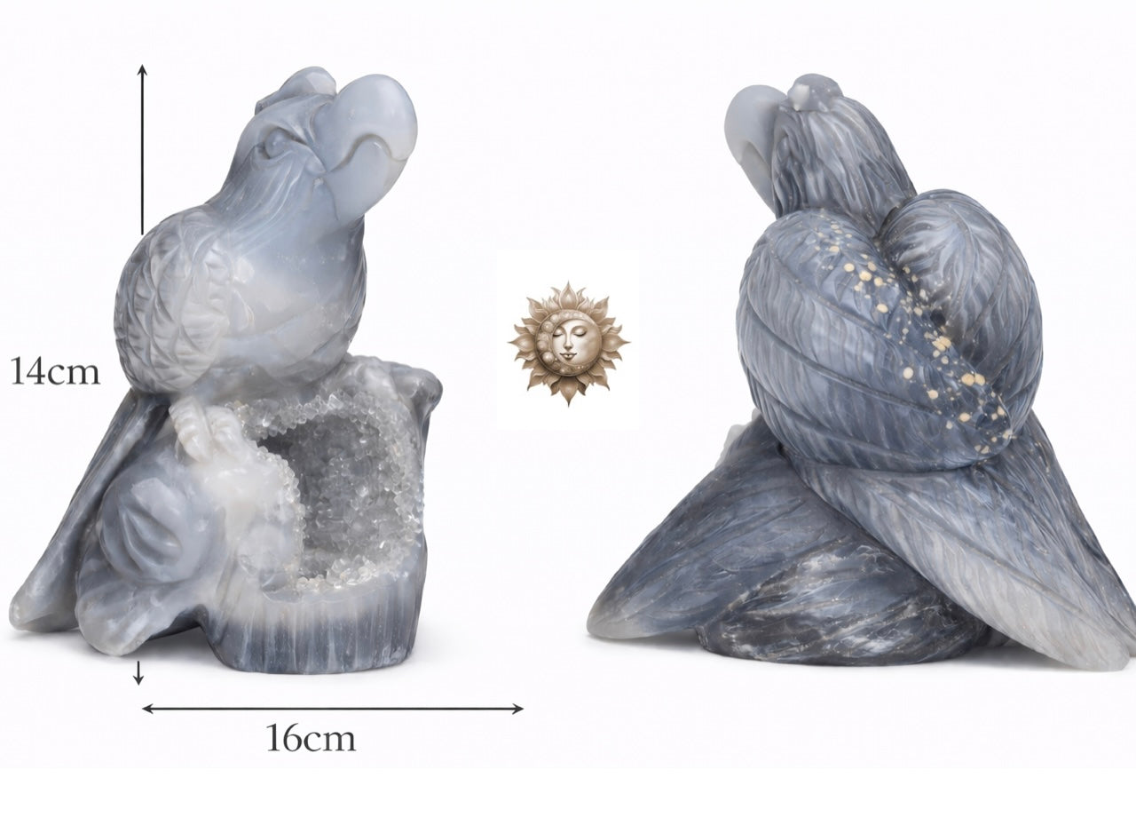 Druzy Agate Bird with Open Sparkling Druzy – Natural Crystal Sculpture