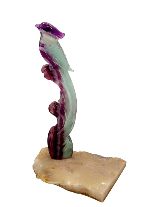 Outstanding Fluorite Bird Carving