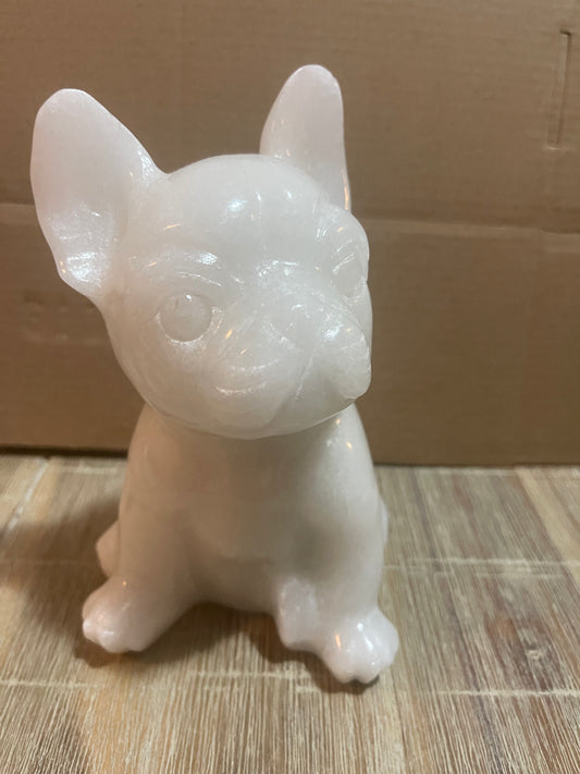 Frenchie white jade